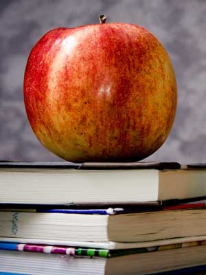 手机号群发平台