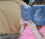 免费短信轰炸机